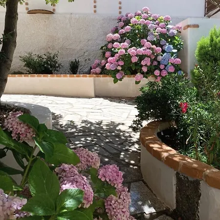 Bed & Breakfast 130 Fonni